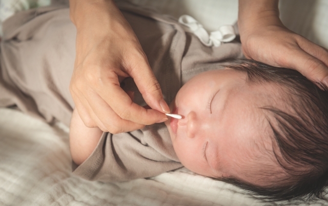 迅速検査の流れ