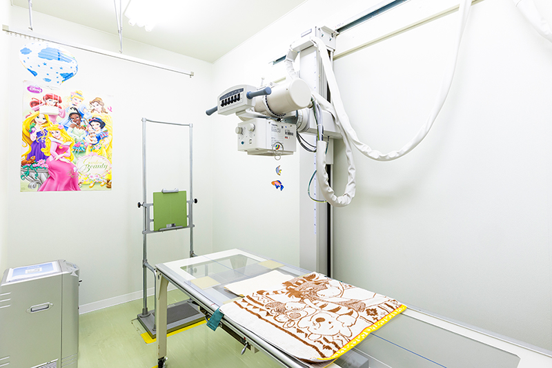 太宰府市でレントゲン超音波をお探しの方へ