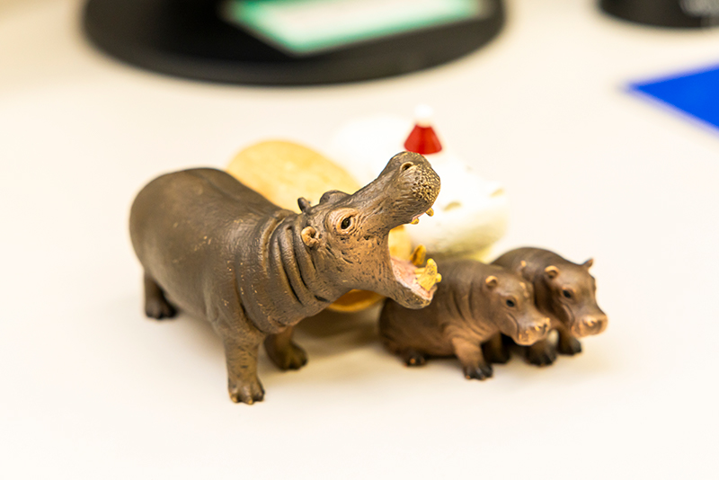 桜の季節と、ちょっと気になる体調の変化